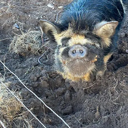 Cois Cuan Ballynagaul