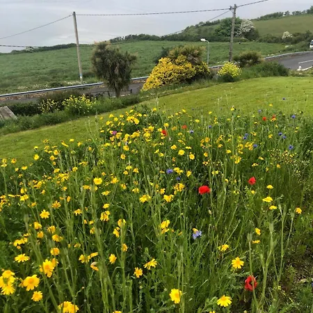 Frühstückspension Cois Cuan