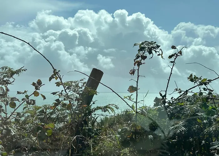 Cois Cuan 3* Ballynagaul