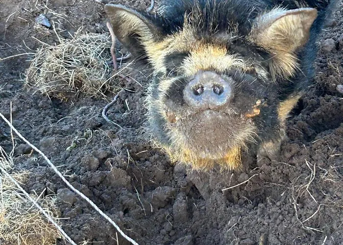 Cois Cuan Ballynagaul